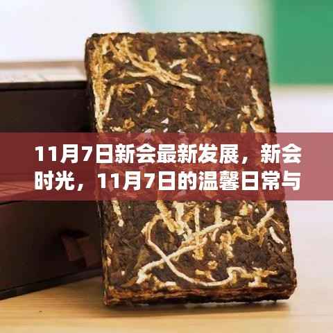 新会时光,11月7日的温馨日常与发展印记