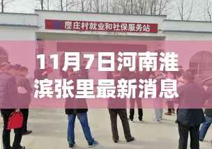 河南淮滨张里事件最新进展深度解析与背景剖析(11月7日更新)