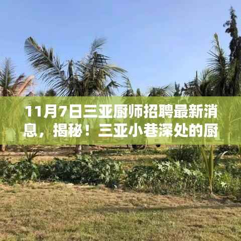 揭秘三亚厨师招聘独家消息,小巷深处的厨艺秘境新动态