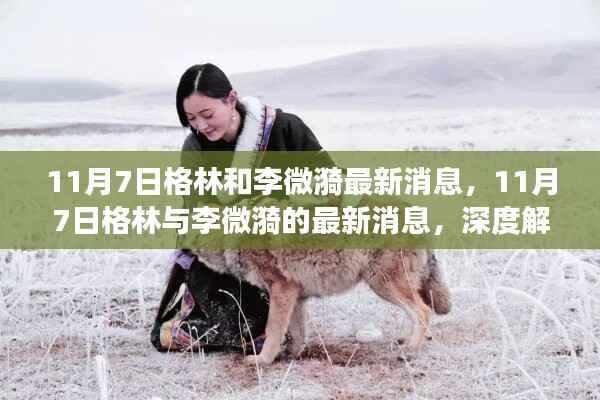 深度解读与观点碰撞,格林与李微漪的最新消息(11月7日更新)