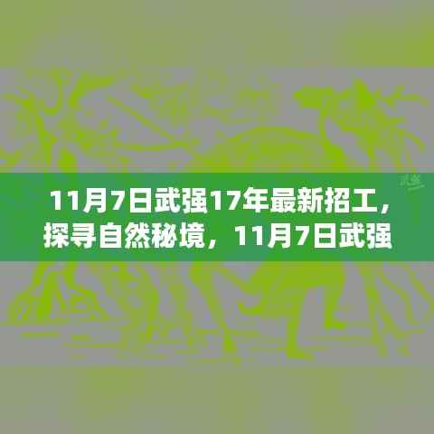 探寻自然秘境,武强县最新招工之旅启程心灵之旅的奇妙探险
