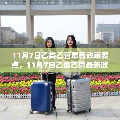 初学者进阶手册,解读与操作指南——乙类乙管最新政策要点详解(附操作指南)