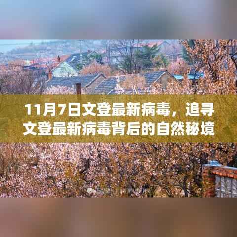 文登最新病毒探寻之旅,自然秘境的心灵之旅