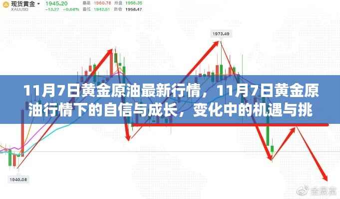 11月7日黄金原油行情下的机遇与挑战,自信与成长之路