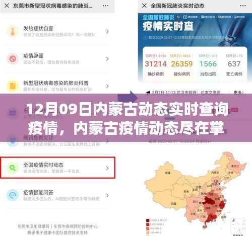科技助力智慧防疫,内蒙古疫情动态实时查询系统上线