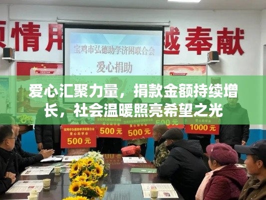 爱心汇聚力量,捐款金额持续增长,社会温暖照亮希望之光