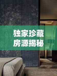 独家珍藏房源揭秘,探寻珍稀居住空间的独特魅力与艺术风采