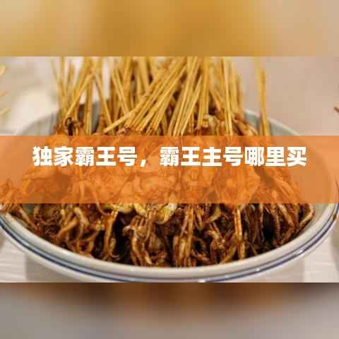 独家霸王号,霸王主号哪里买