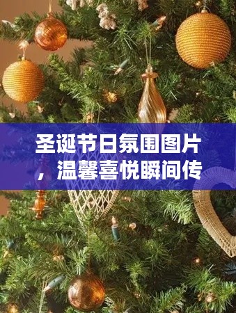 圣诞节日氛围图片,温馨喜悦瞬间传递