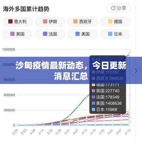 沙甸疫情最新动态,今日更新消息汇总