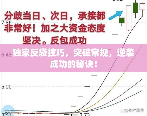 独家反袋技巧,突破常规,逆袭成功的秘诀!