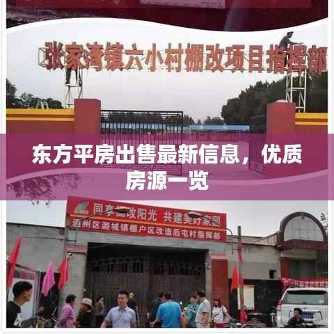东方平房出售最新信息，优质房源一览