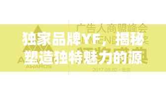 独家品牌YF,揭秘塑造独特魅力的源泉