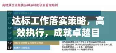 达标工作落实策略,高效执行,成就卓越目标!