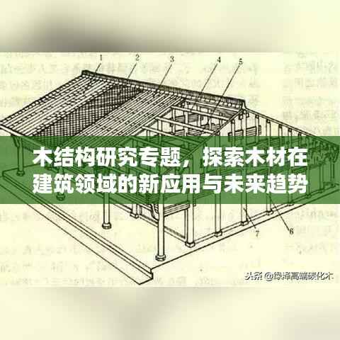 木结构研究专题，探索木材在建筑领域的新应用与未来趋势
