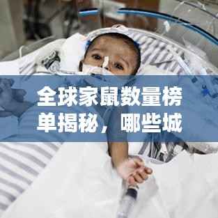 惨淡经营 第2页