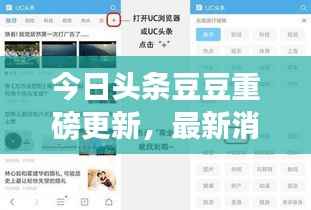 今日头条豆豆重磅更新，最新消息抢先看