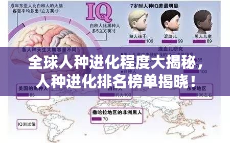 全球人种进化程度大揭秘,人种进化排名榜单揭晓!
