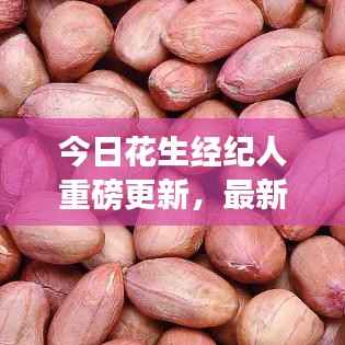 今日花生经纪人重磅更新，最新消息一览